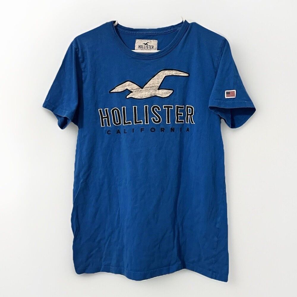 VTG Y2K Hollister Rare American Flag Patch‎ Sleeve Men T-shirt M Blue Logo Bird